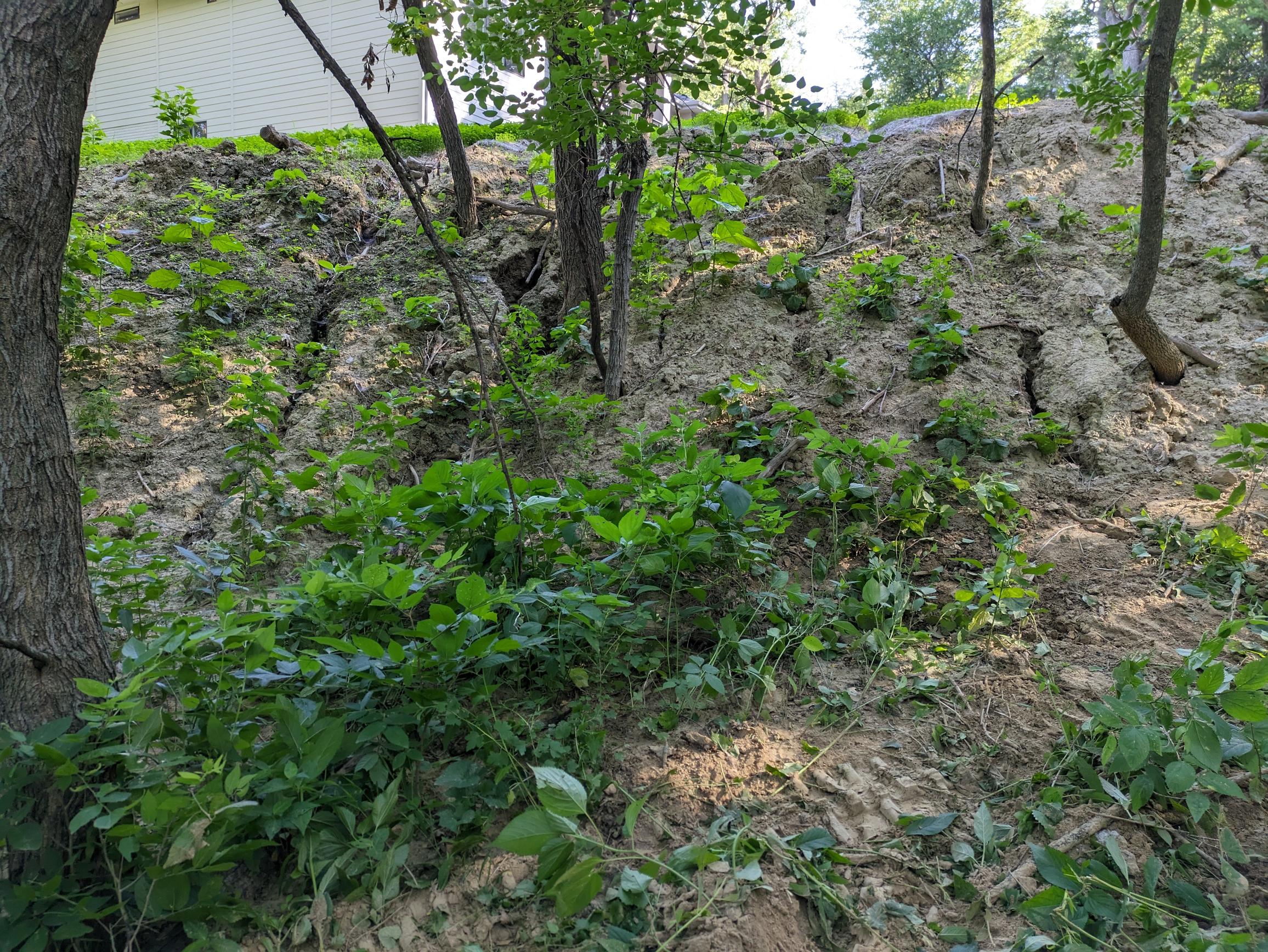 PXL_20230622_141026041